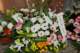 dsc_2370_small.jpg
