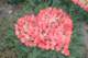 dsc_2448_small.jpg