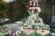dsc_2579_small.jpg